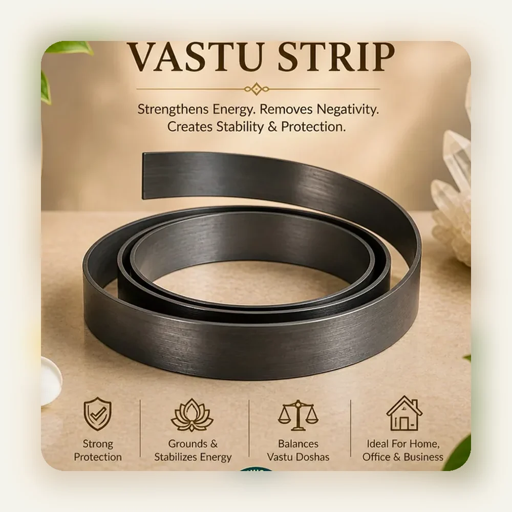 Iron Vastu Strips