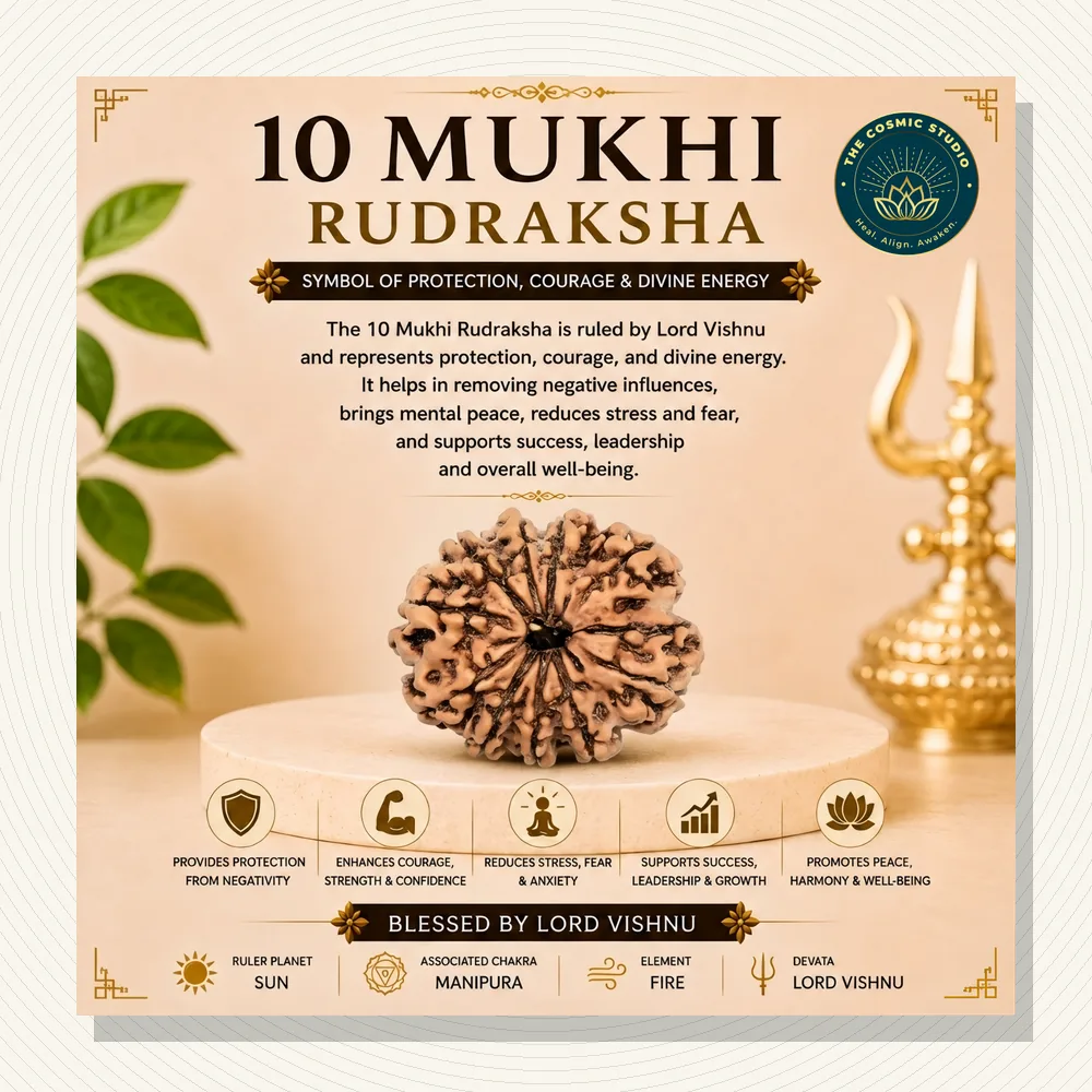 Gauri Shankar Rudraksha 10 mukhi