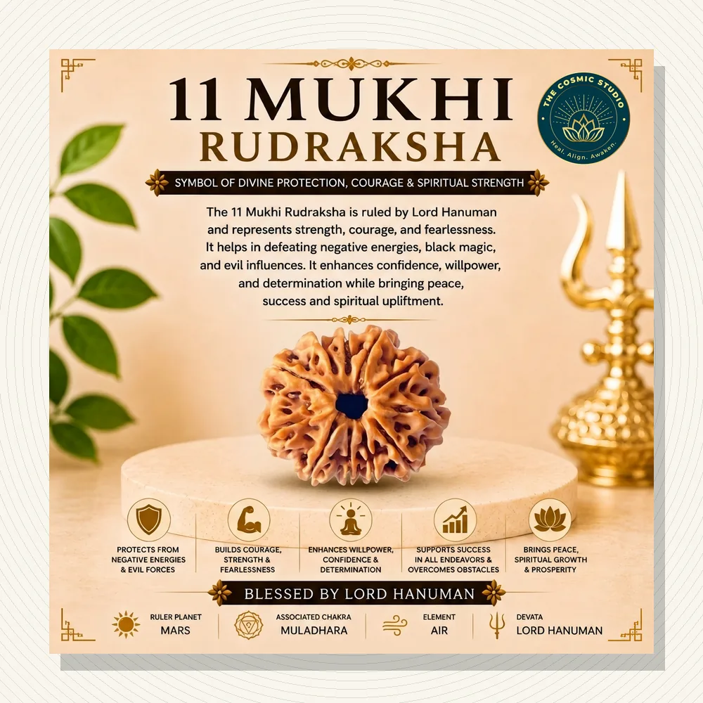 Gauri Shankar Rudraksha 11 mukhi