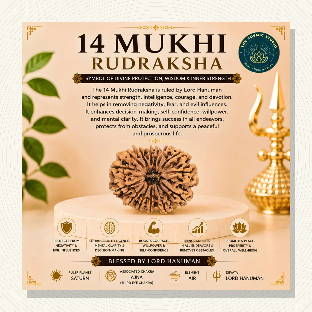 Gauri Shankar Rudraksha 14 mukhi