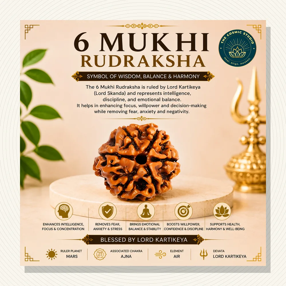 Gauri Shankar Rudraksha 16 mukhi