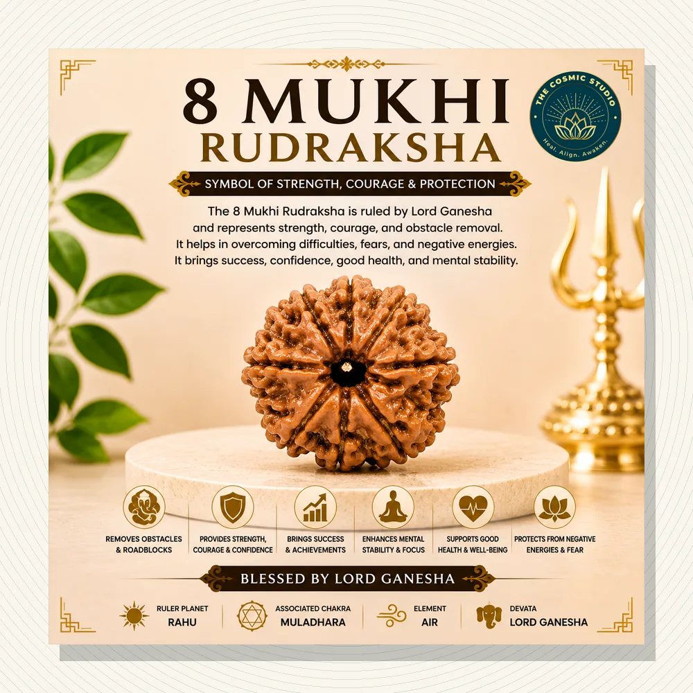 Gauri Shankar Rudraksha 8 mukhi