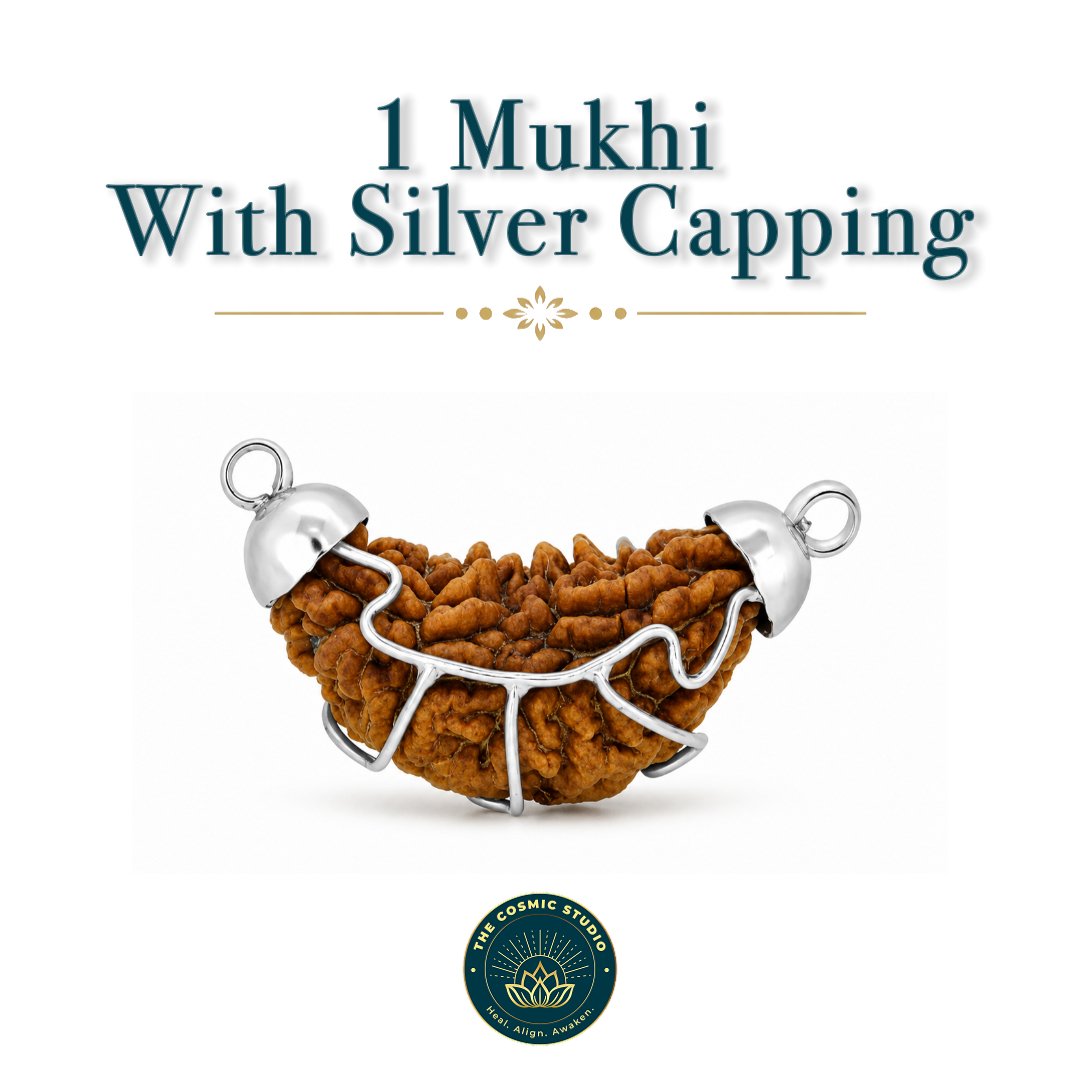 1 Mukhi Rudraksha preview