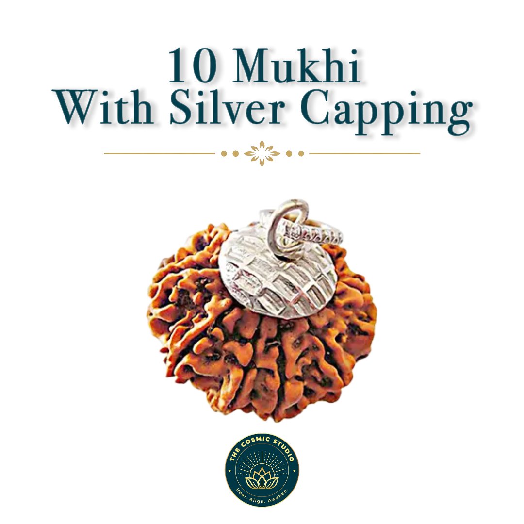 10 Mukhi Rudraksha