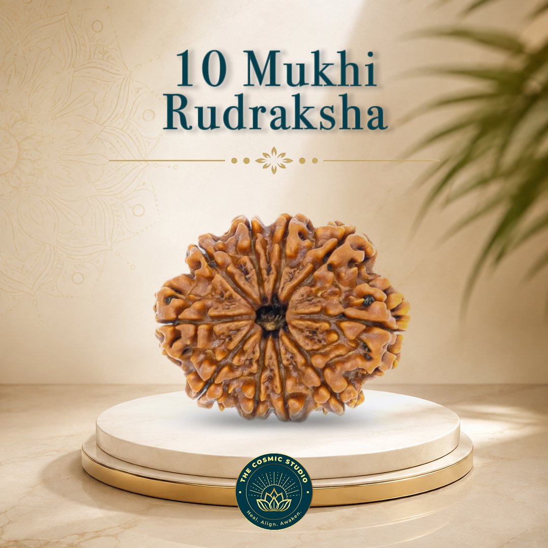 10 Mukhi Rudraksha