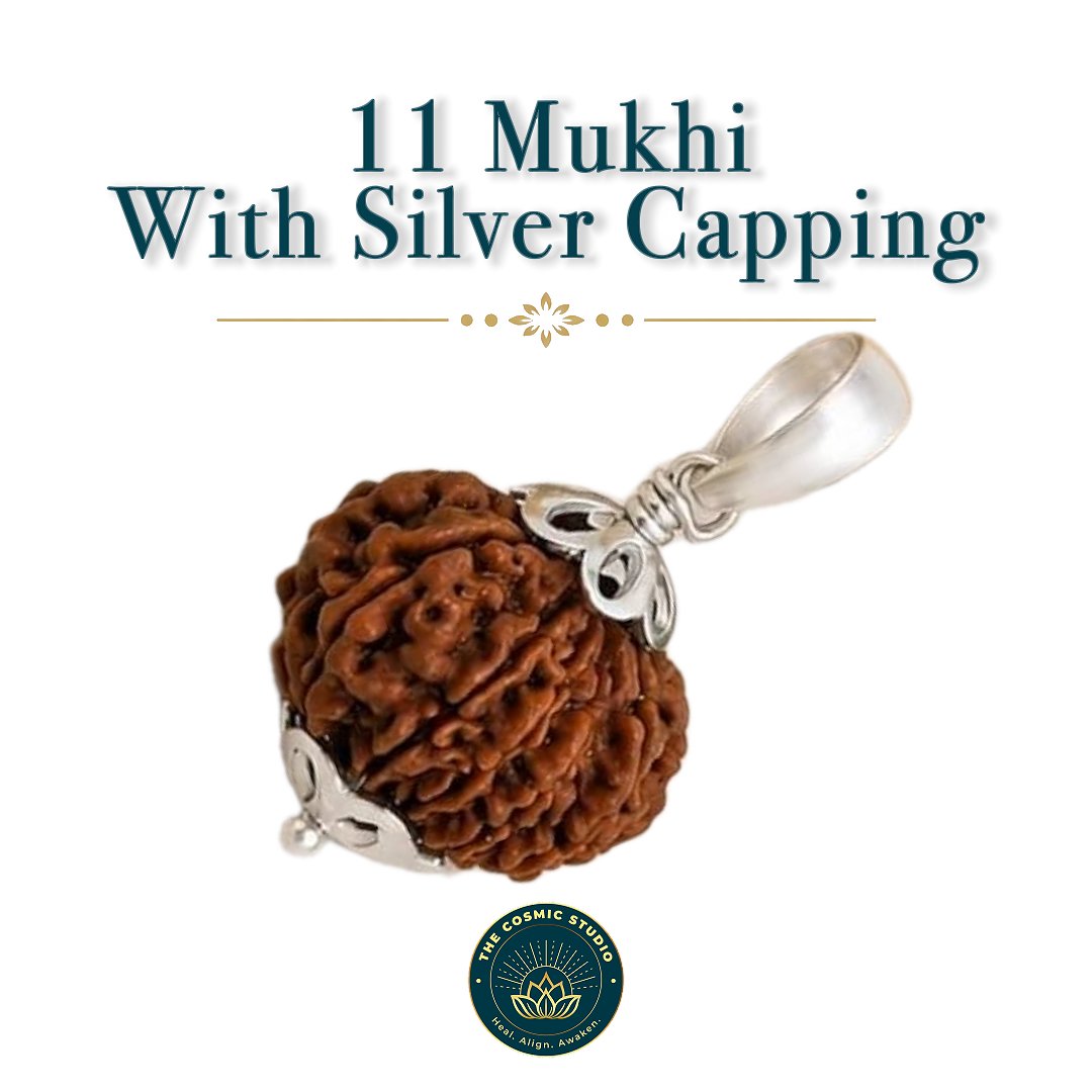 11 Mukhi Rudraksha