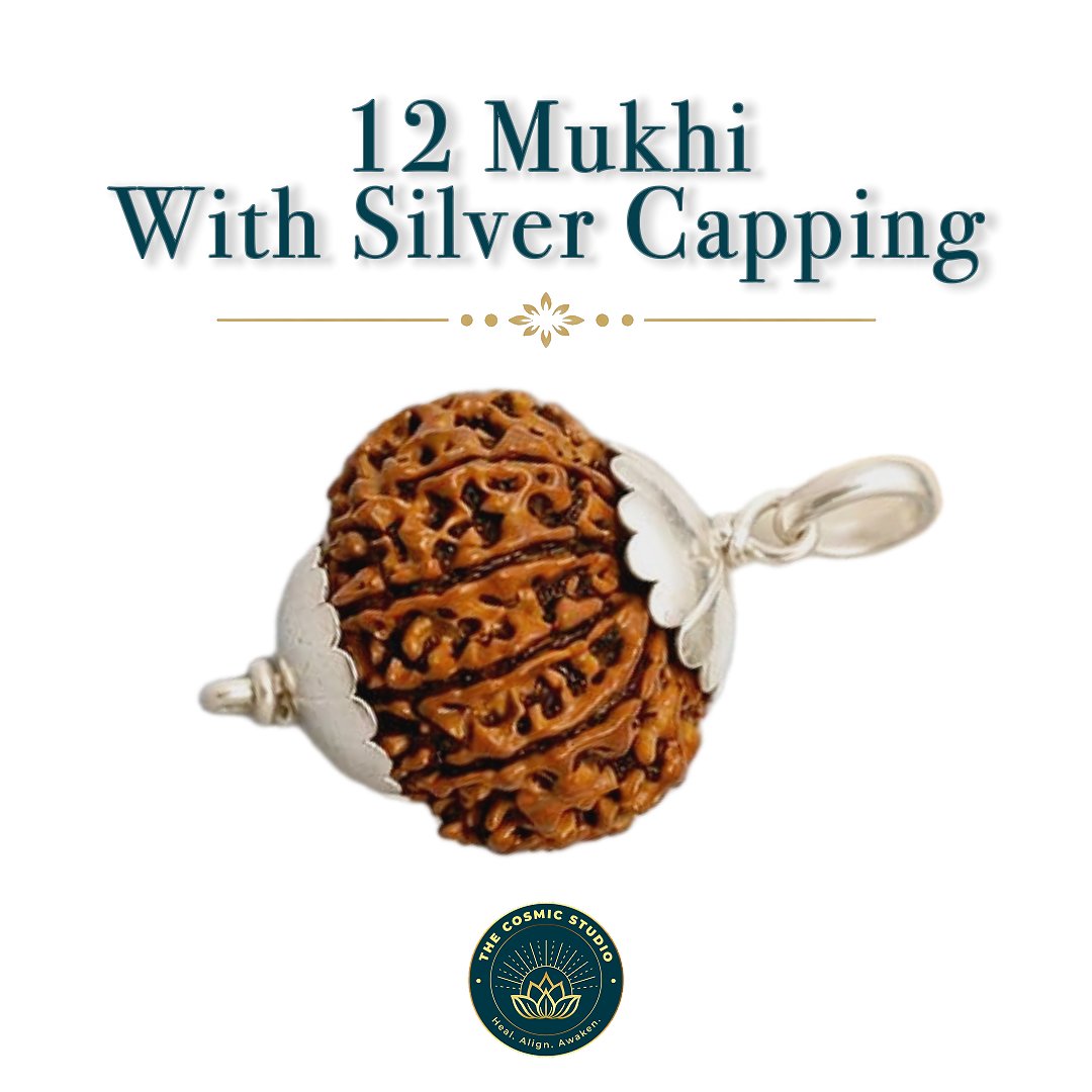 12 Mukhi Rudraksha