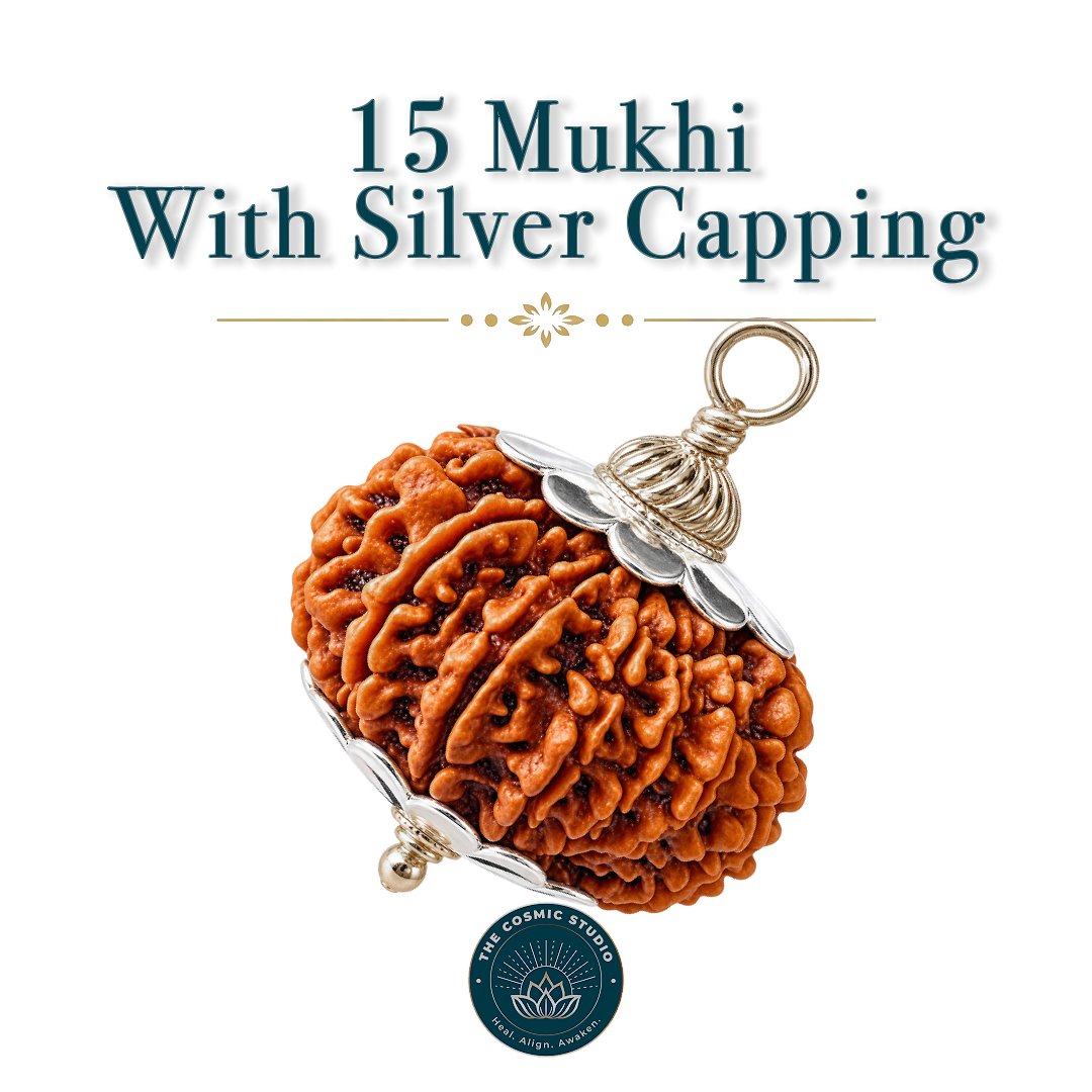 15 Mukhi Rudraksha