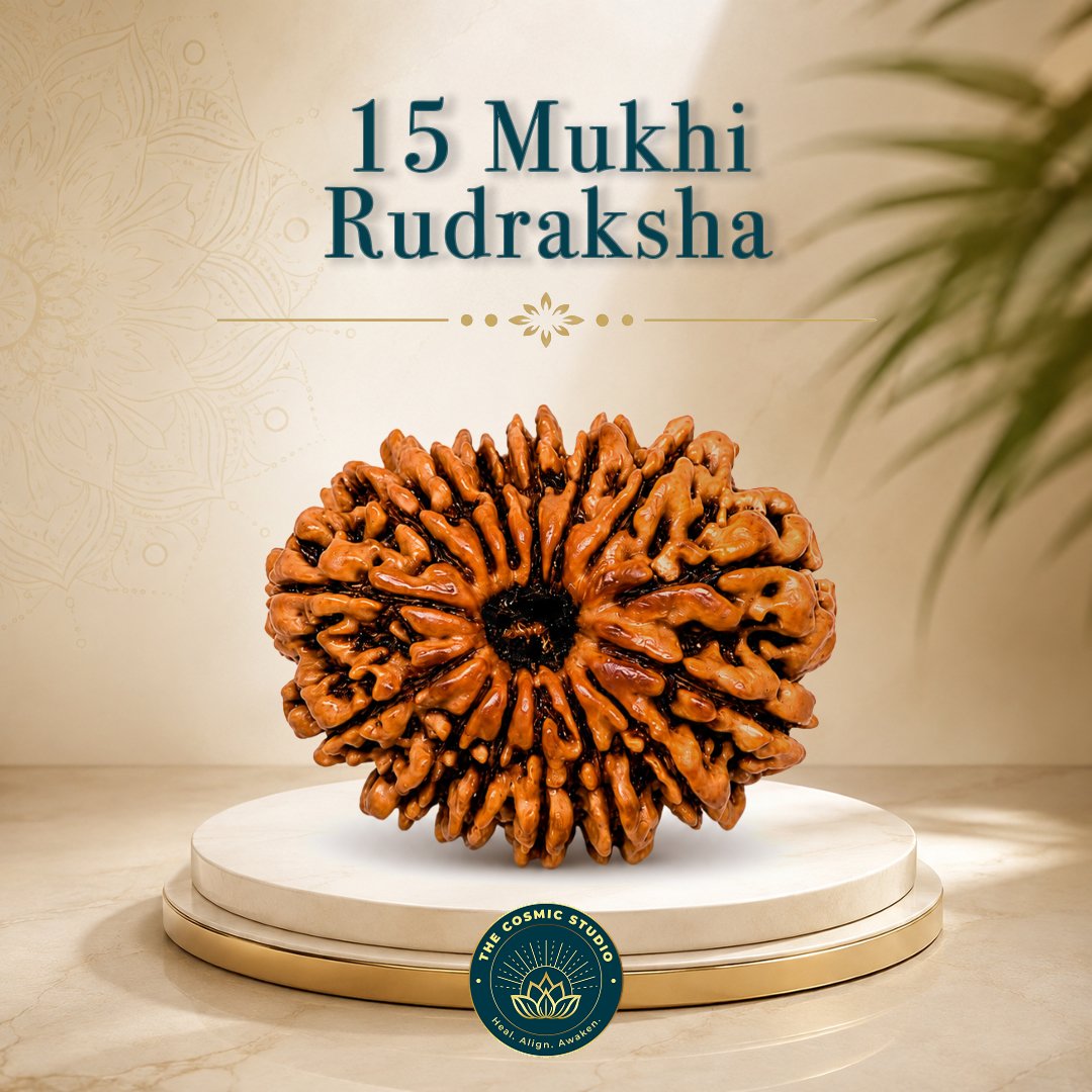 15 Mukhi Rudraksha