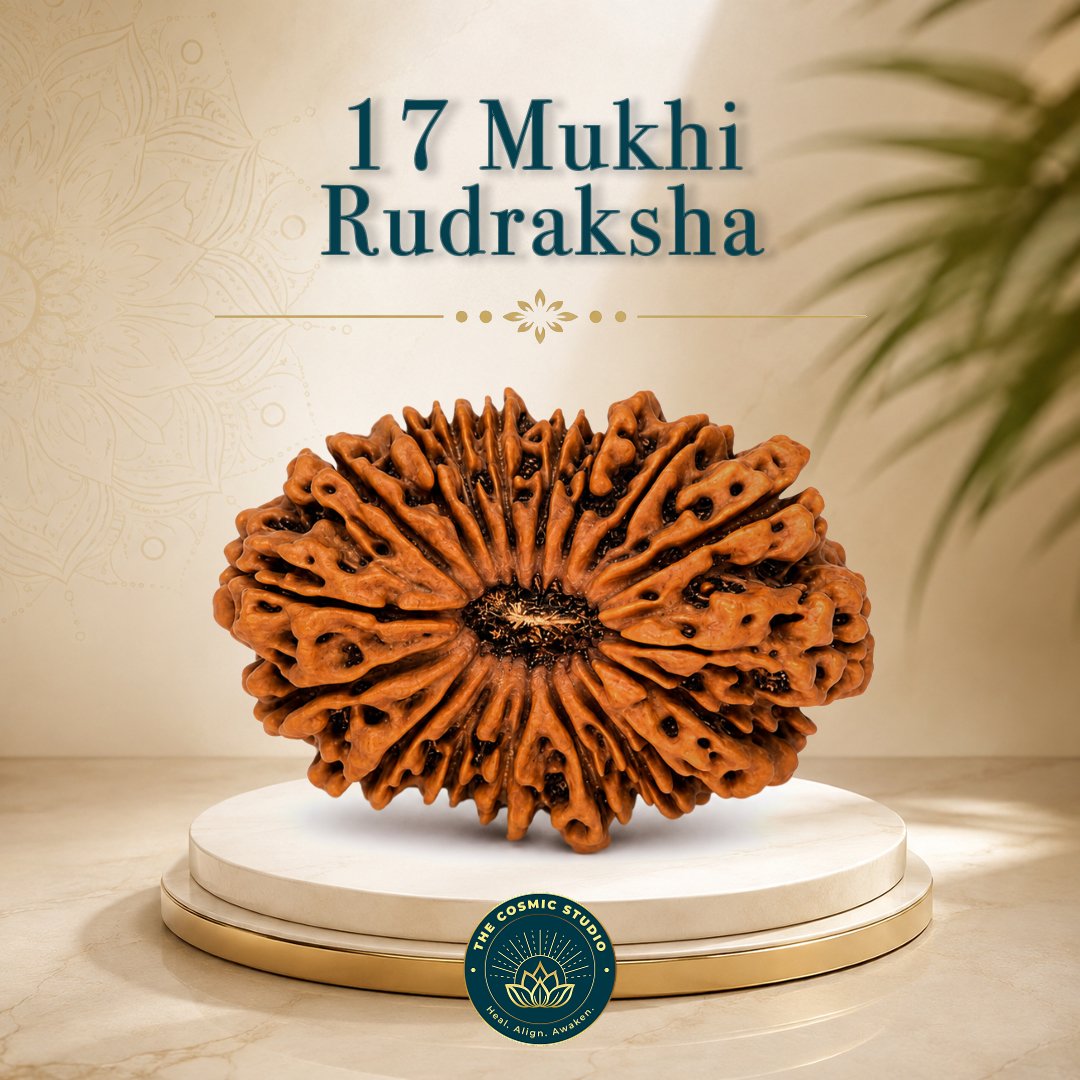17 Mukhi Rudraksha