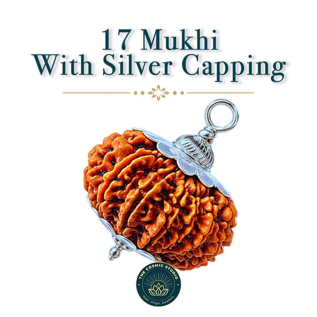 17 Mukhi Rudraksha
