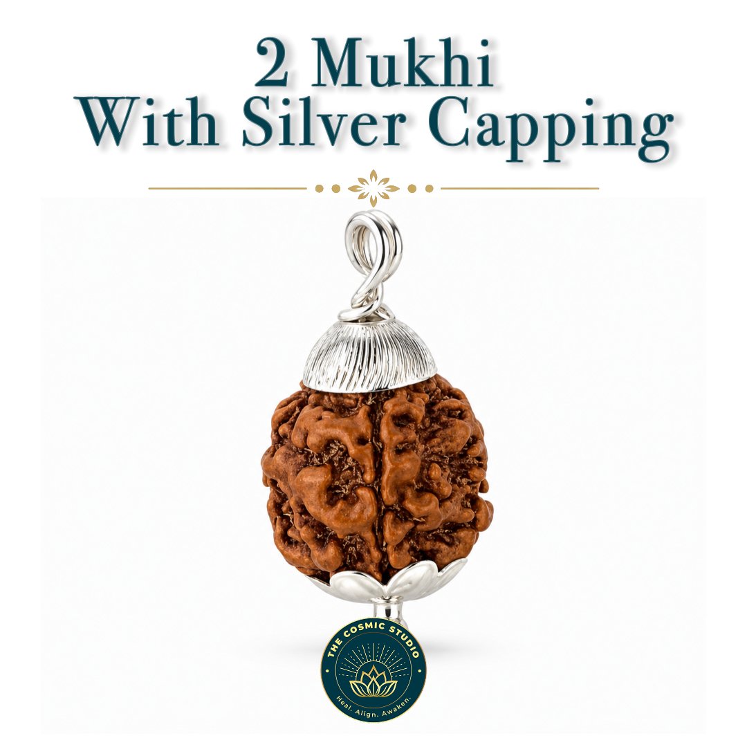 3 Mukhi Rudraksha