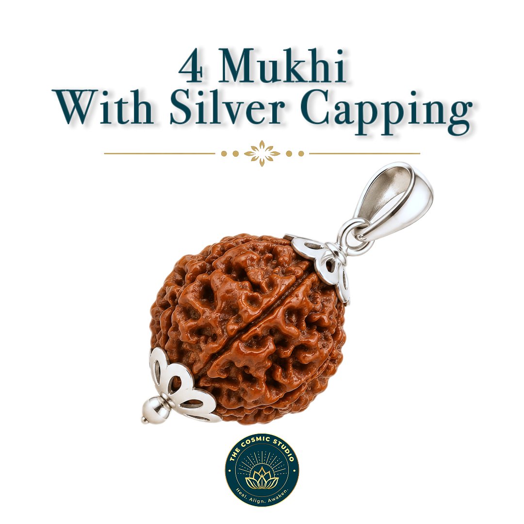 4 Mukhi Rudraksha