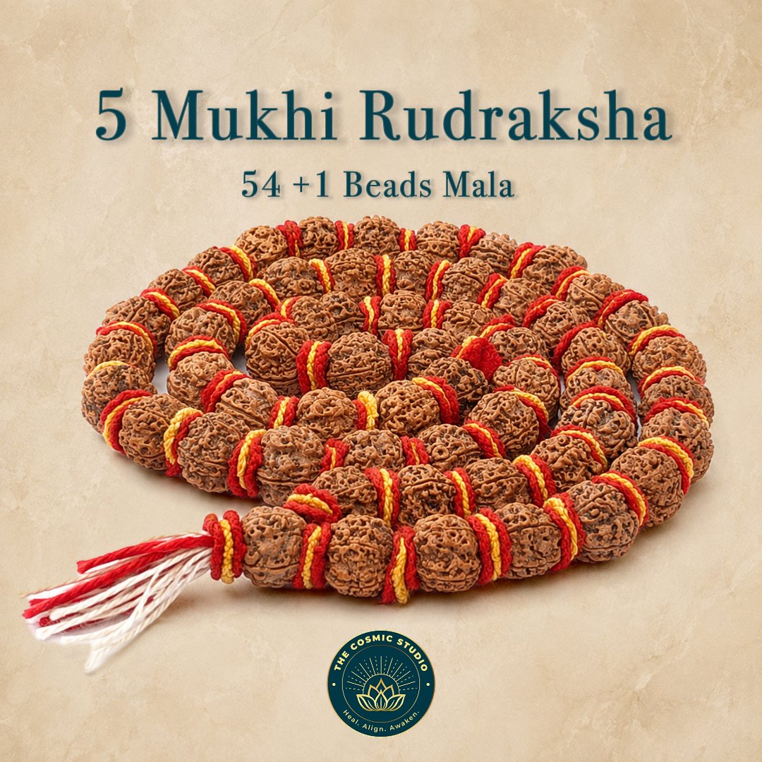 5 Mukhi Rudraksha Mala (Bead Size 20-22mm)