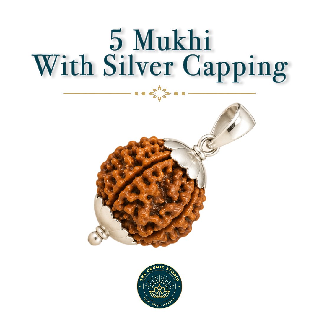 5 Mukhi Rudraksha