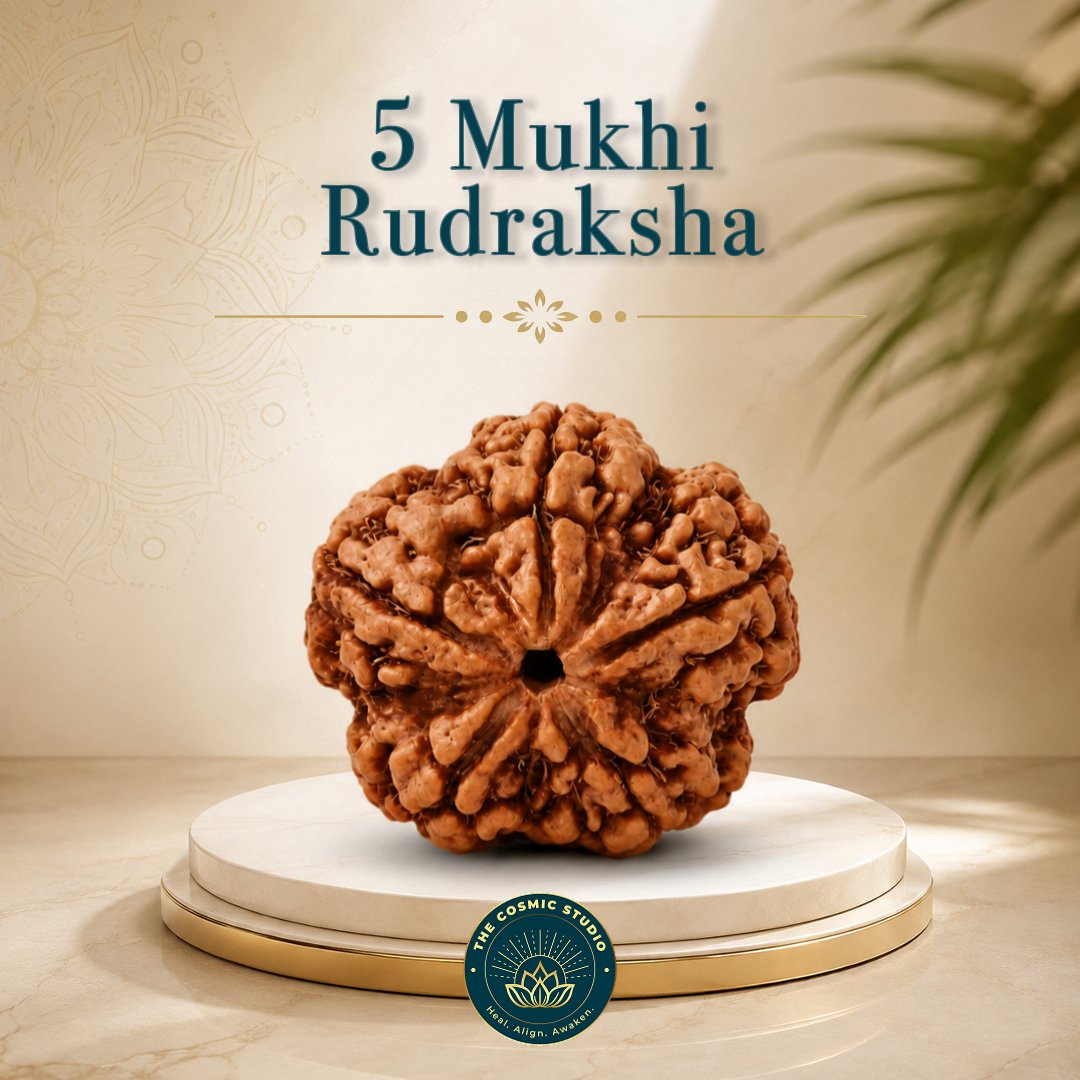 5 Mukhi Rudraksha