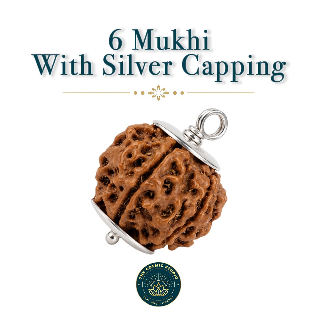 6 Mukhi Rudraksha