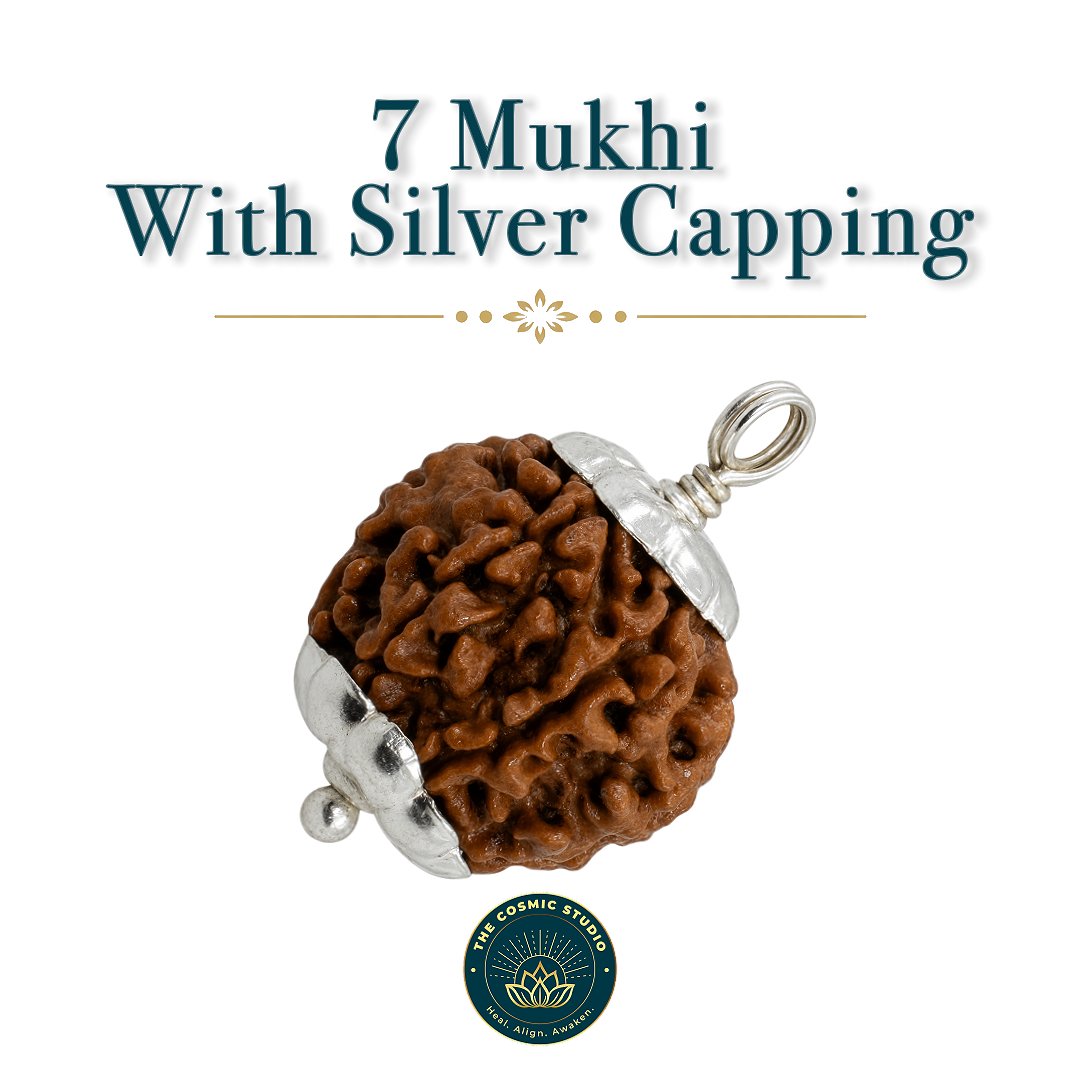 7 Mukhi Rudraksha