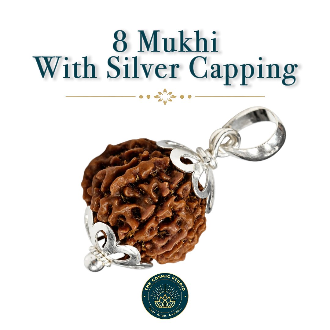 8 Mukhi Rudraksha