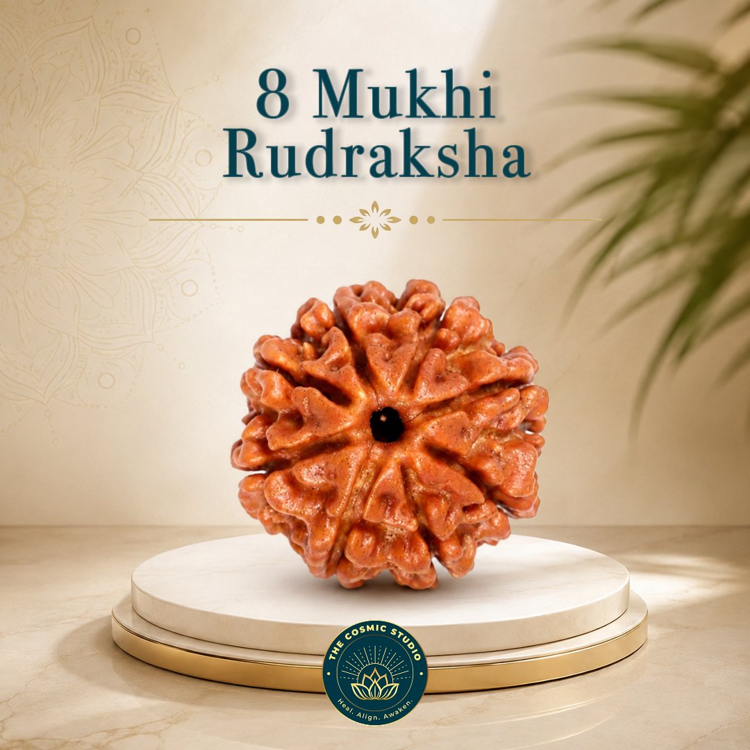 8 Mukhi Rudraksha