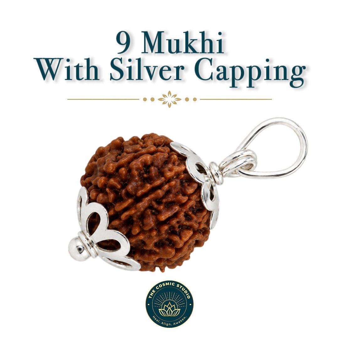 9 Mukhi Rudraksha