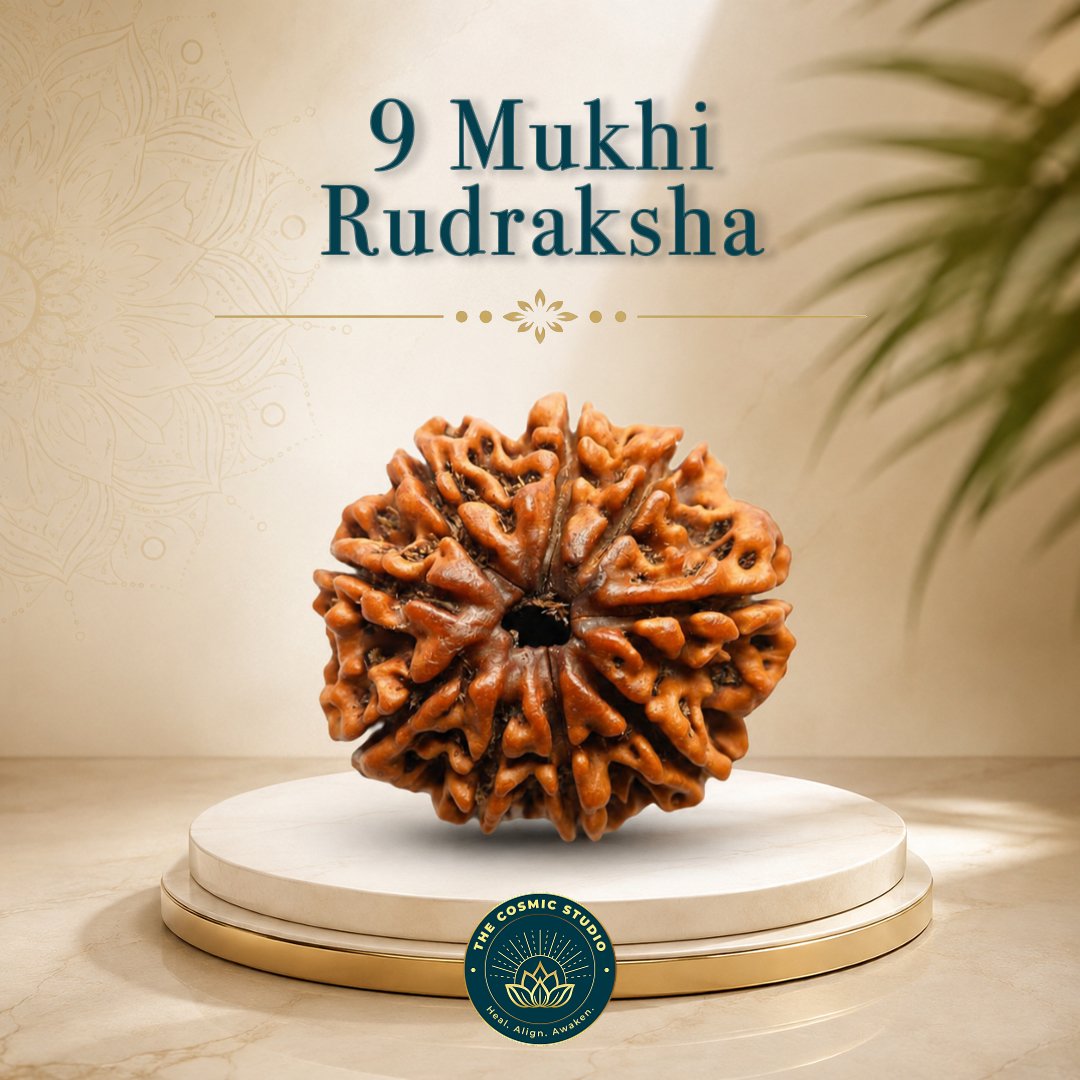9 Mukhi Rudraksha