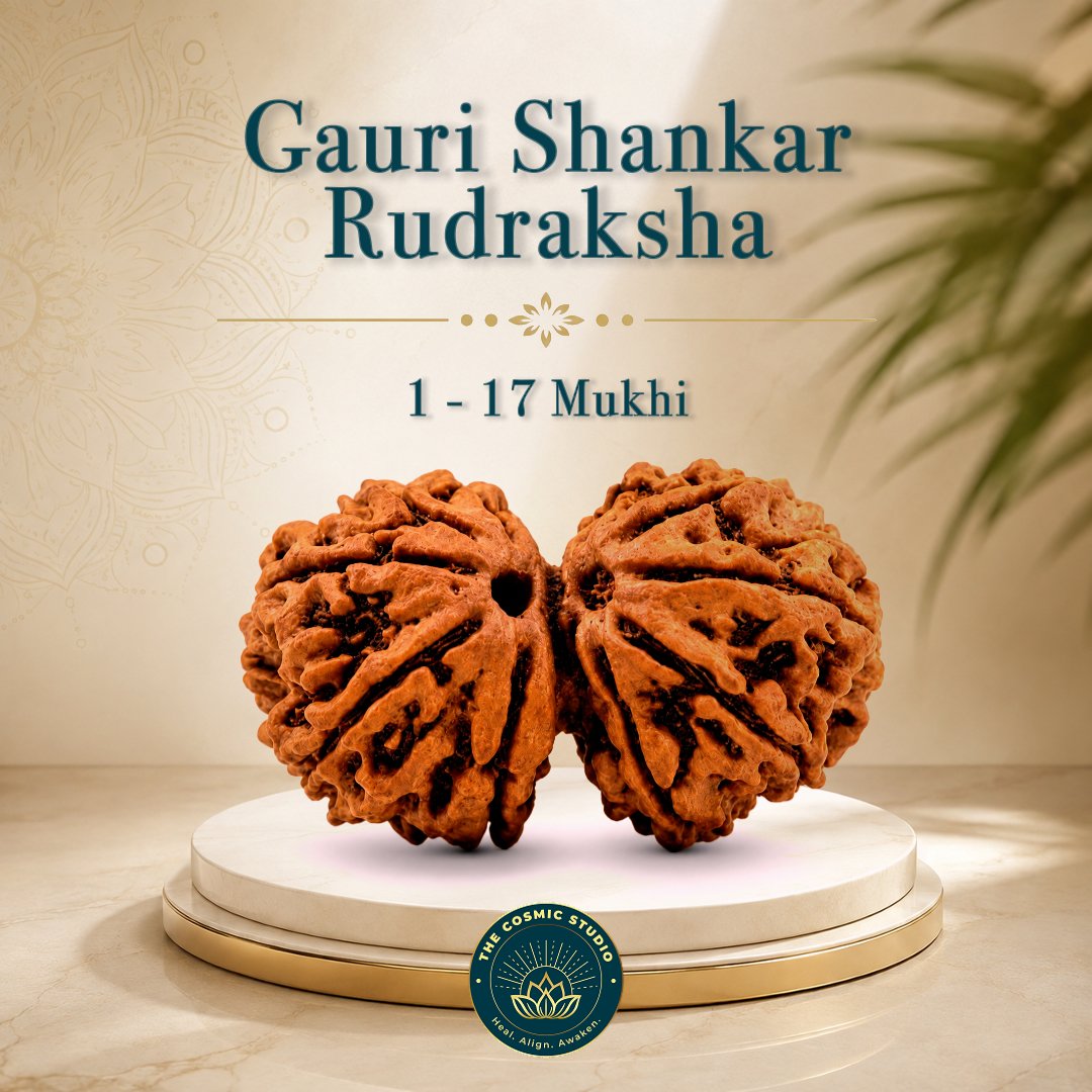 Gauri Shankar Rudraksha