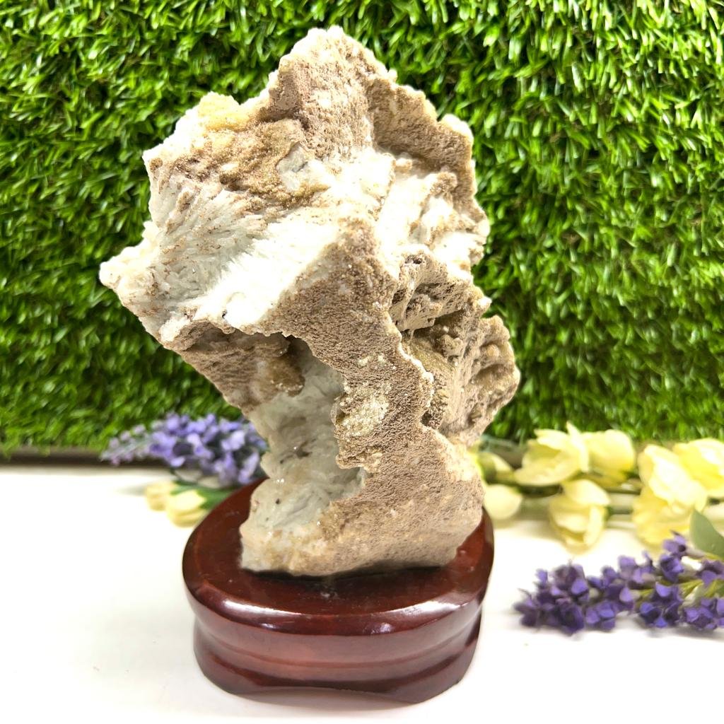 Albite Cluster on Wooden Stand (Memory Enhancement)