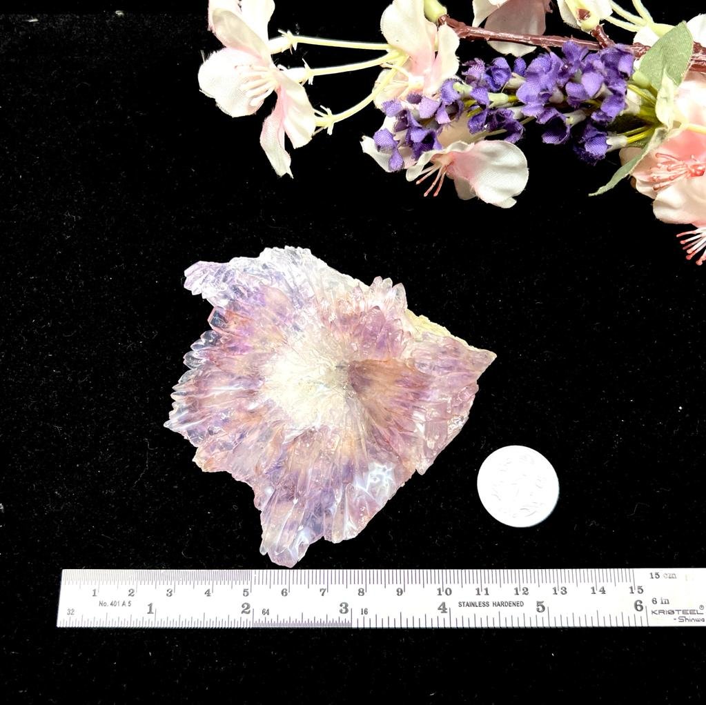 Amethyst Elestial Flowers from Brazil (Intuition and Meditation)